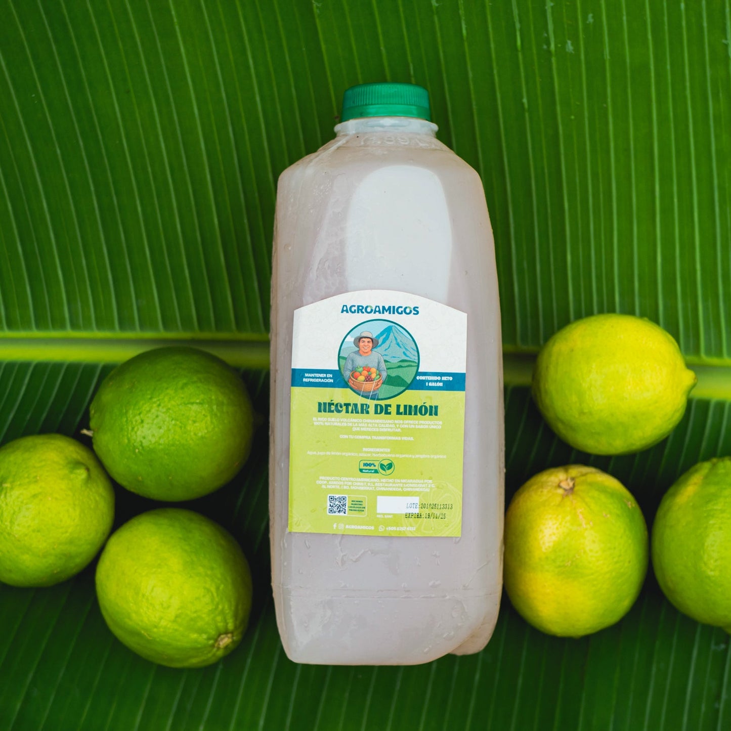 Néctar de limón y hierbabuena ½ gls