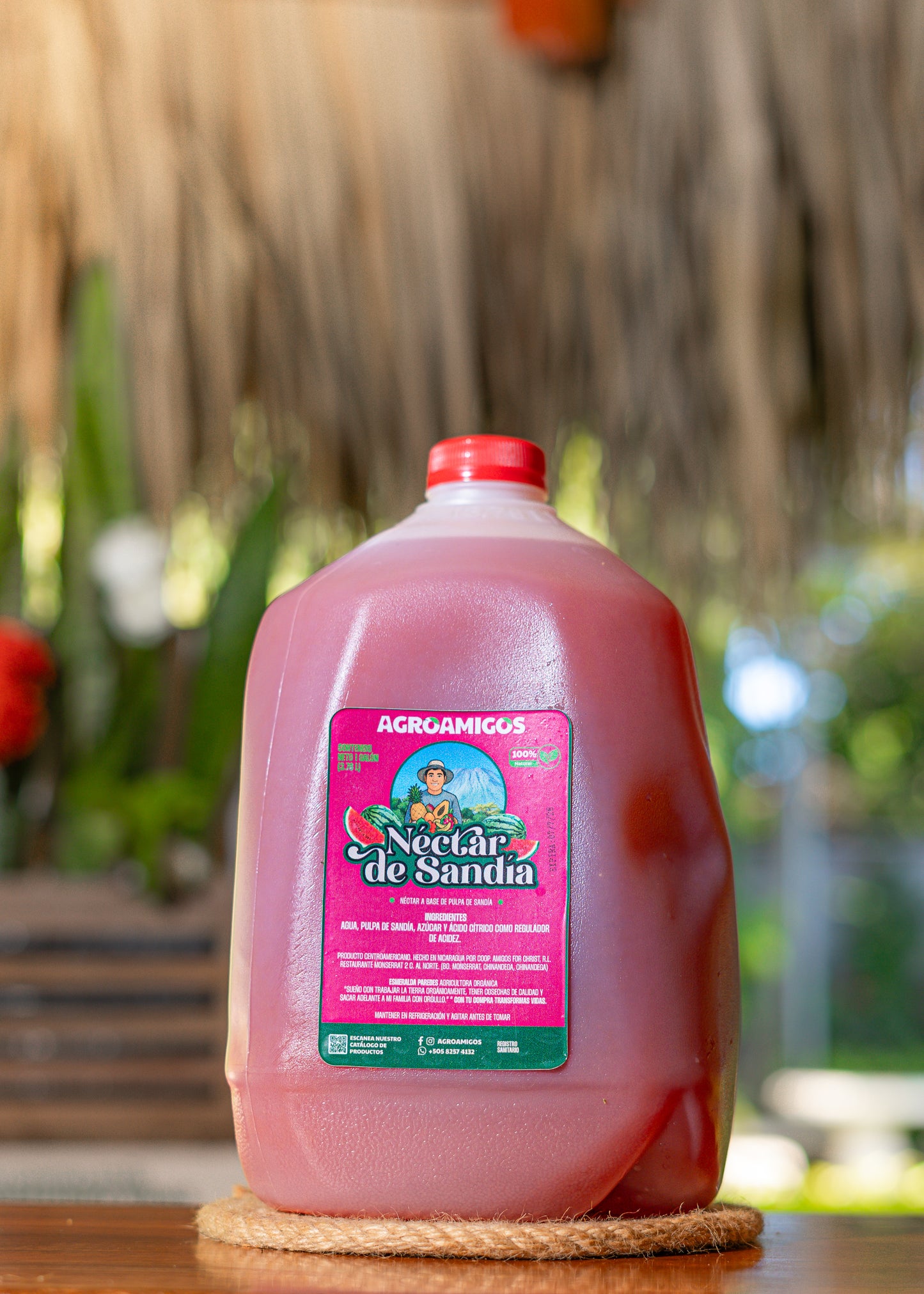 Nectar de Sandia