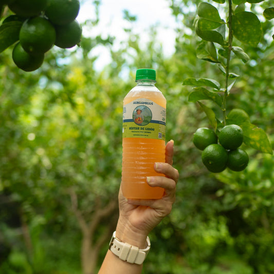 Nectar de Limon y hierbabuena 500ml