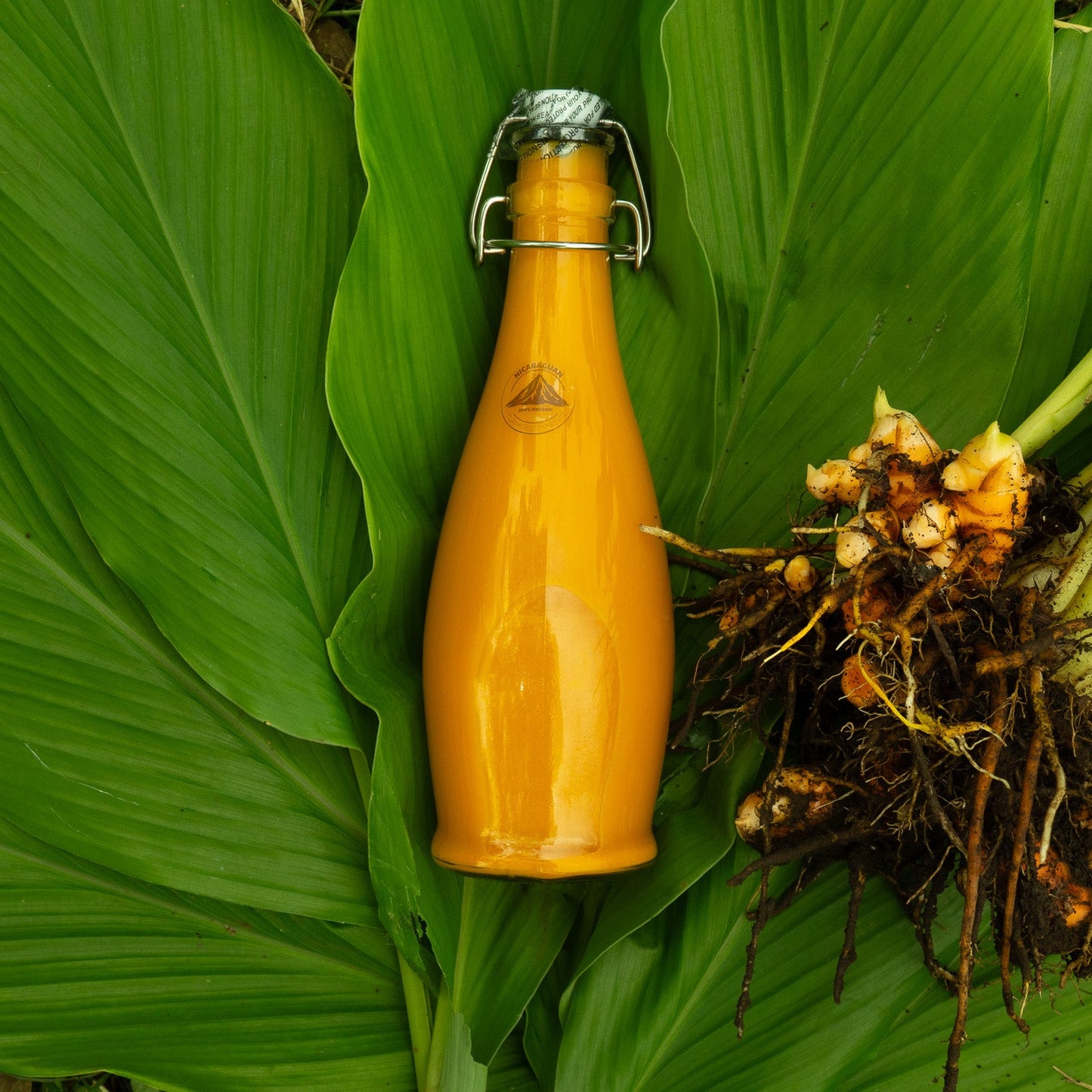 Health Shots de cúrcuma y jengibre de 17 onzas