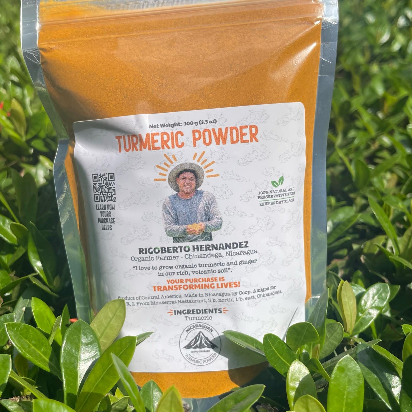 Cúrcuma en Polvo 100g