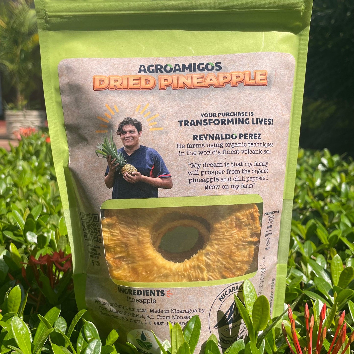 Piña deshidratada natural 50gr