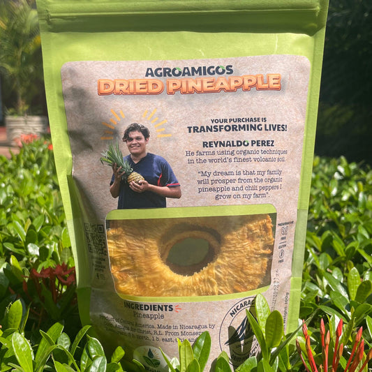 Piña deshidratada natural 50gr