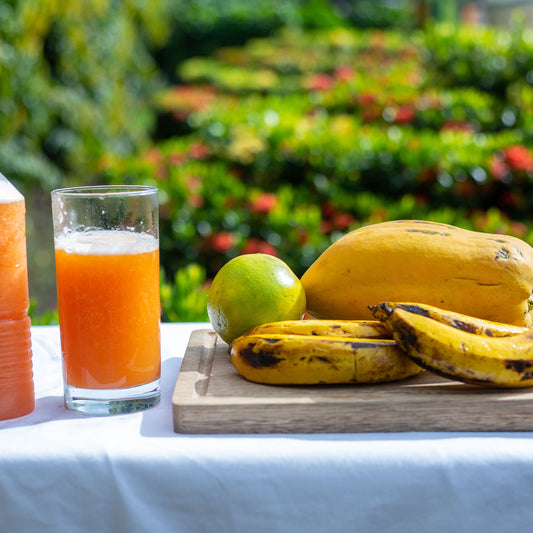 Nectar de Fruit Punch/500 ml