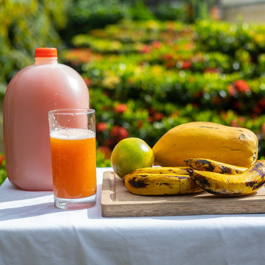 Nectar de Fruit Punch/Galon