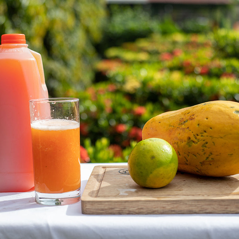 Nectar de Papaya con Naranja 1/2 Galón