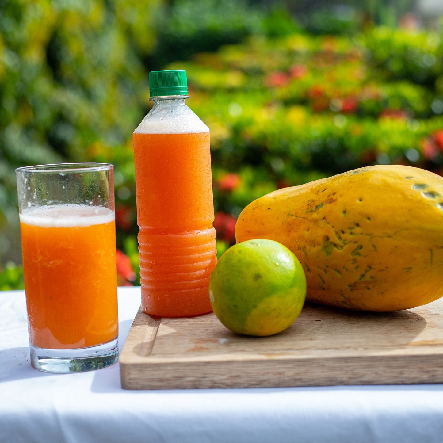 Nectar Papaya con Naranja/500ml