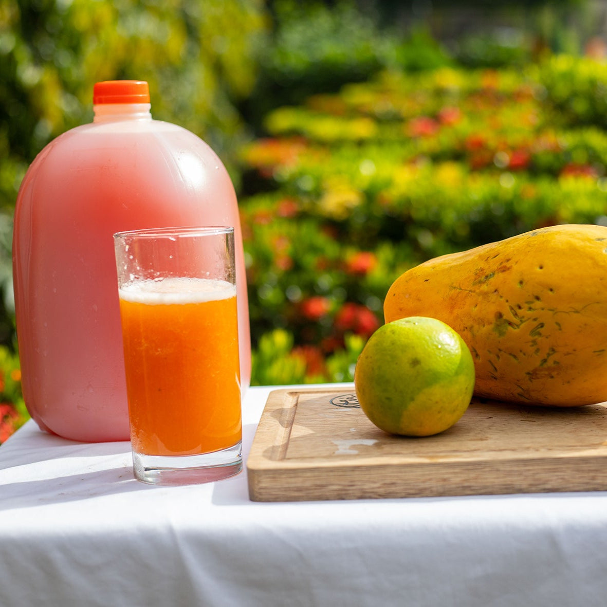 Nectar de Papaya con Naranja/GALON