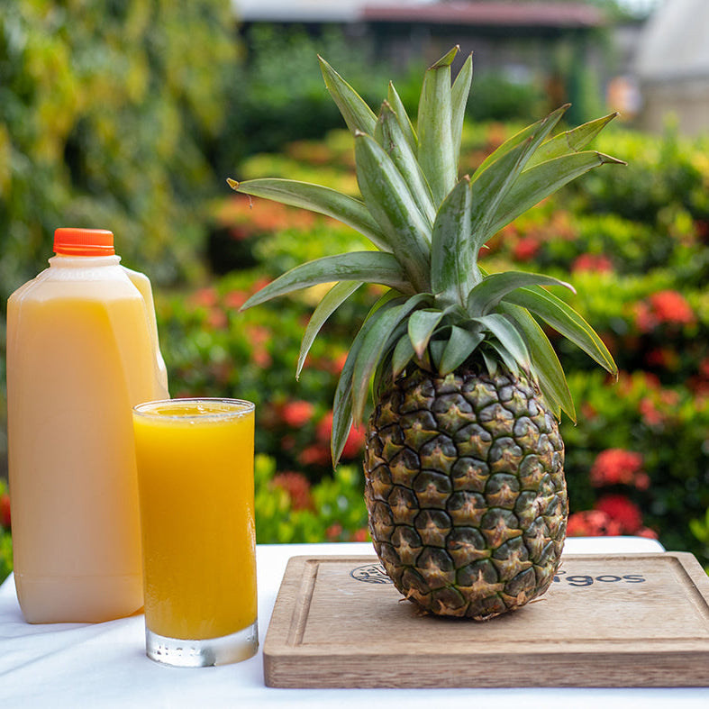 Nectar de Piña 1/2 Galon