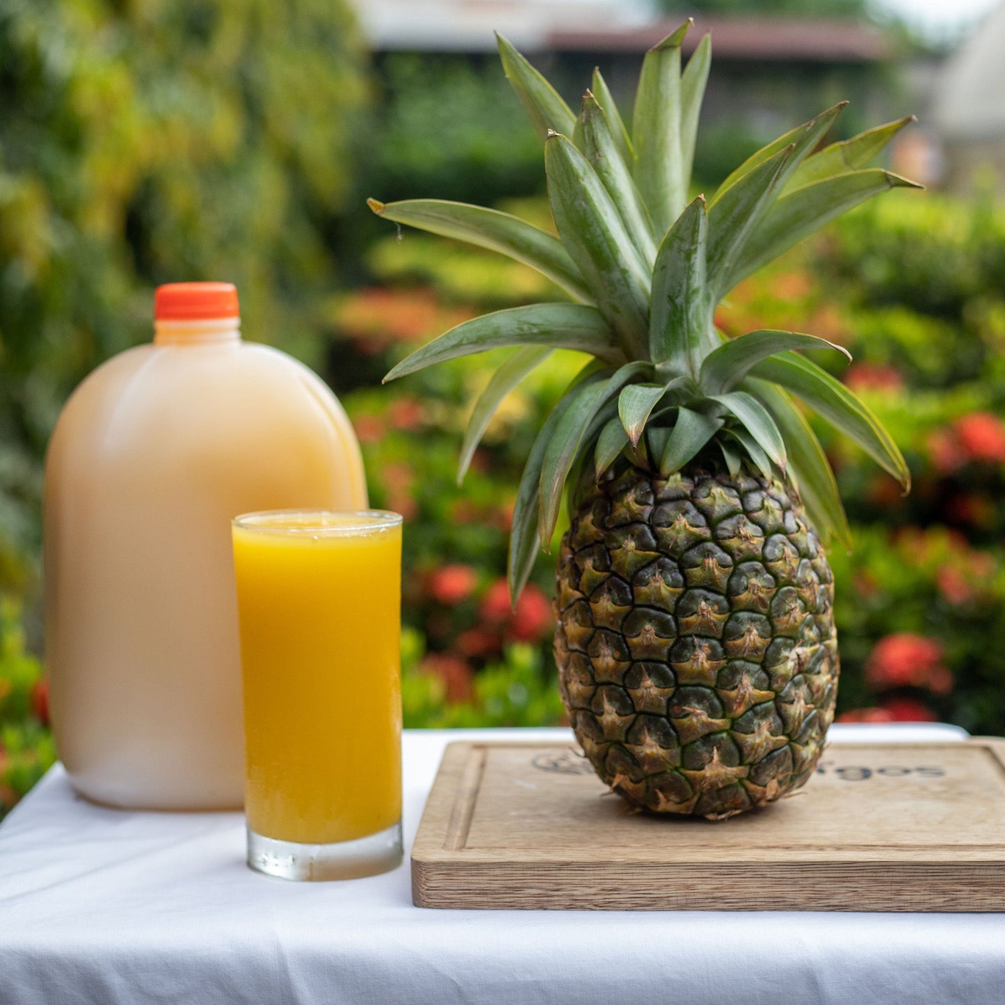 Nectar de Piña/Galon