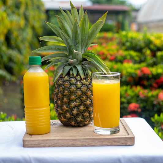 Nectar de Piña/500ml