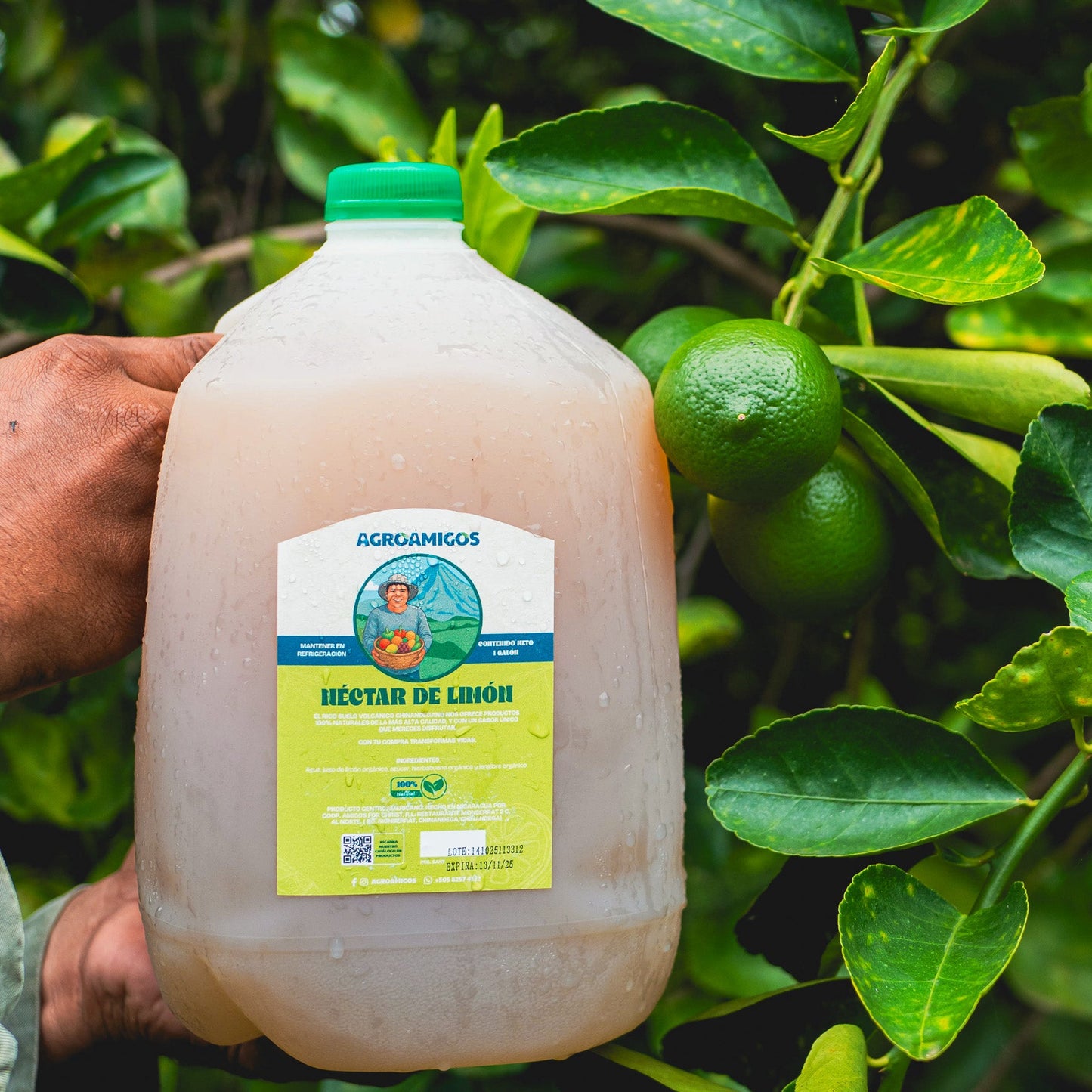 Néctar de limón y hierbabuena galon   