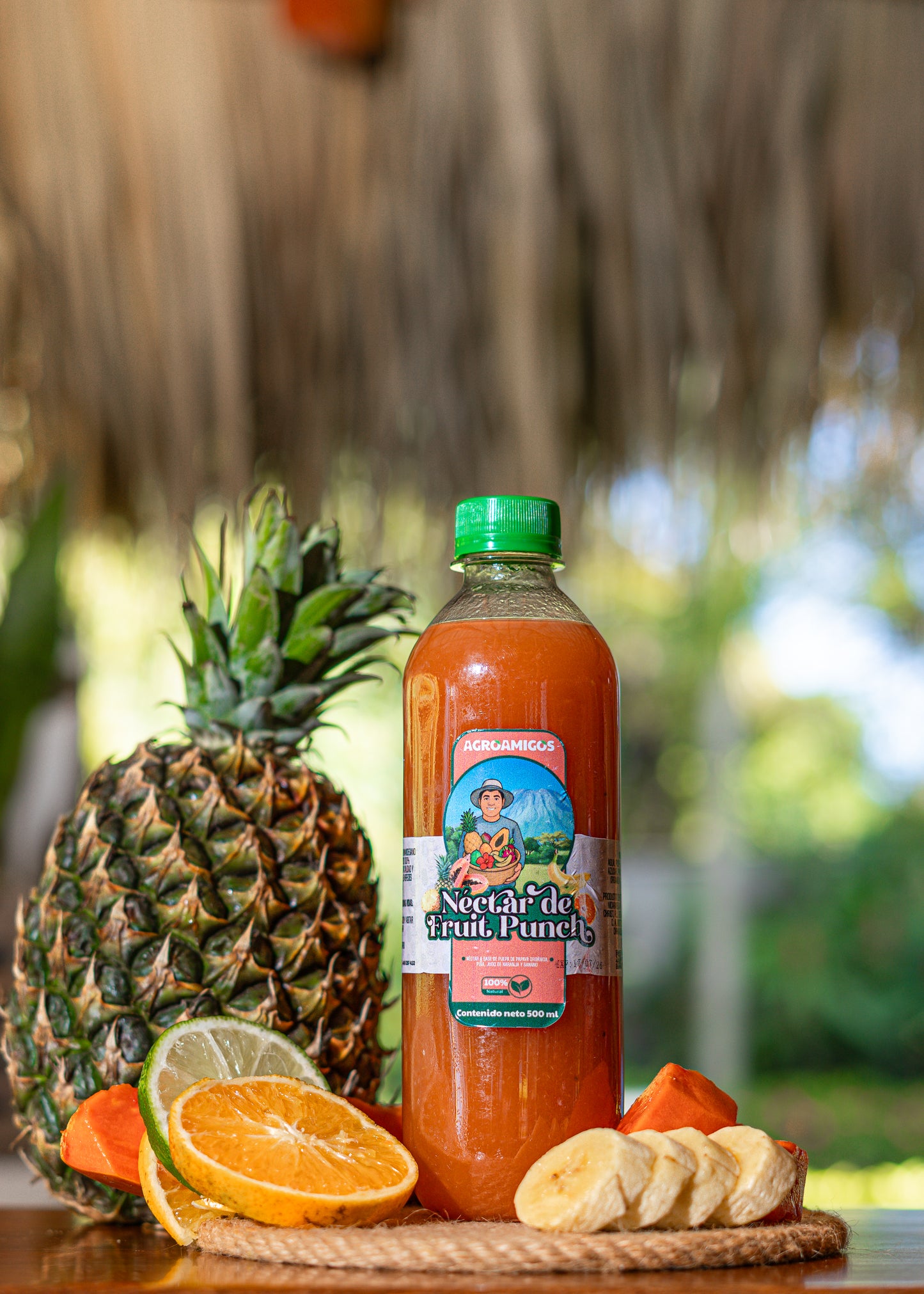 Nectar de Fruit Punch