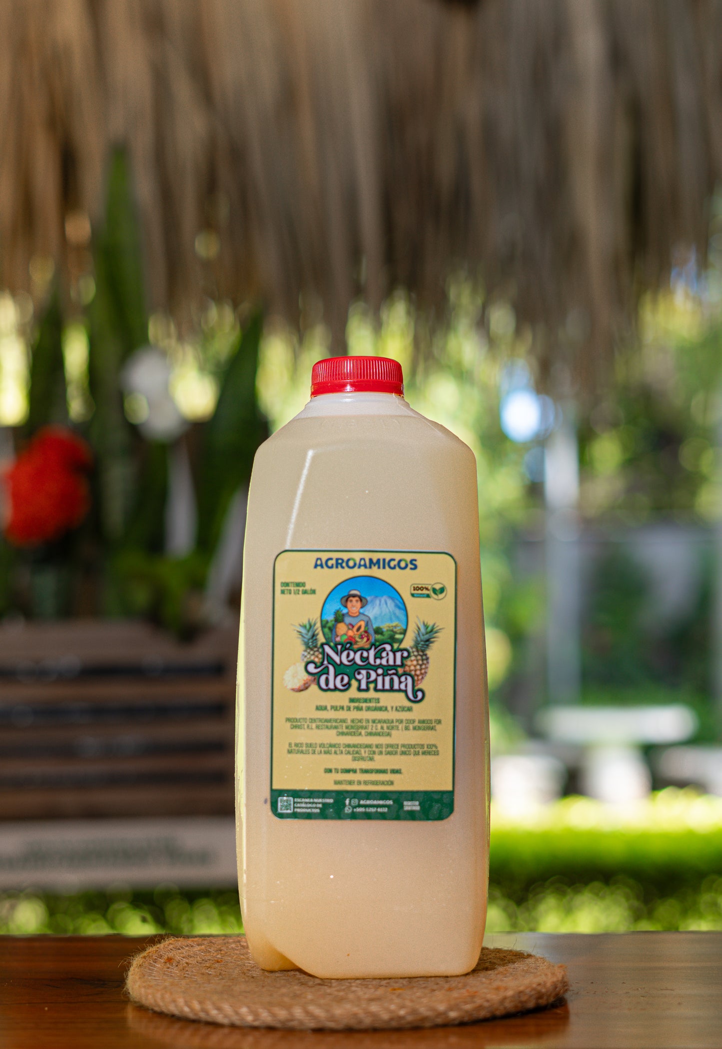 Nectar de Piña