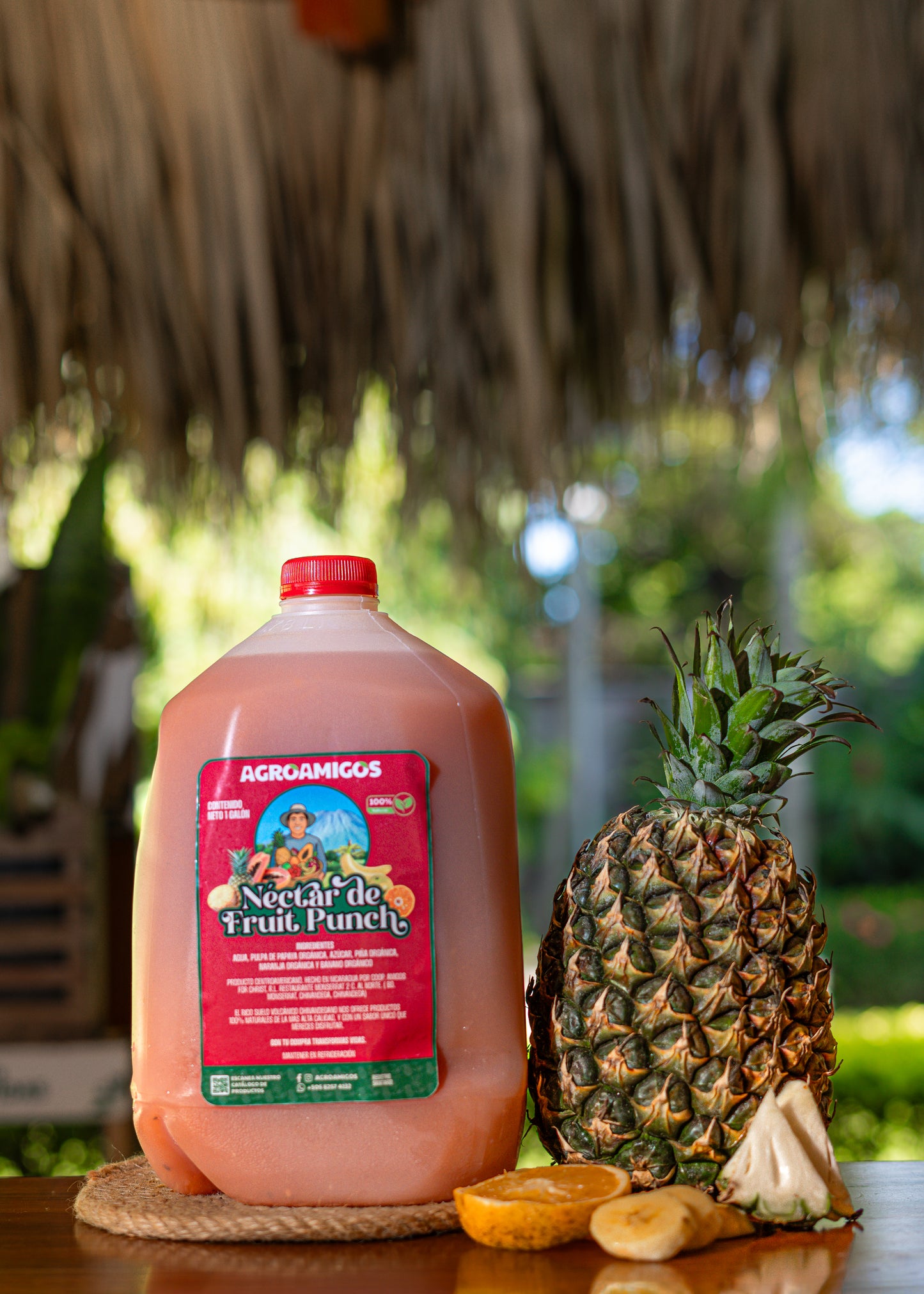 Nectar de Fruit Punch