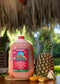 Nectar de Fruit Punch