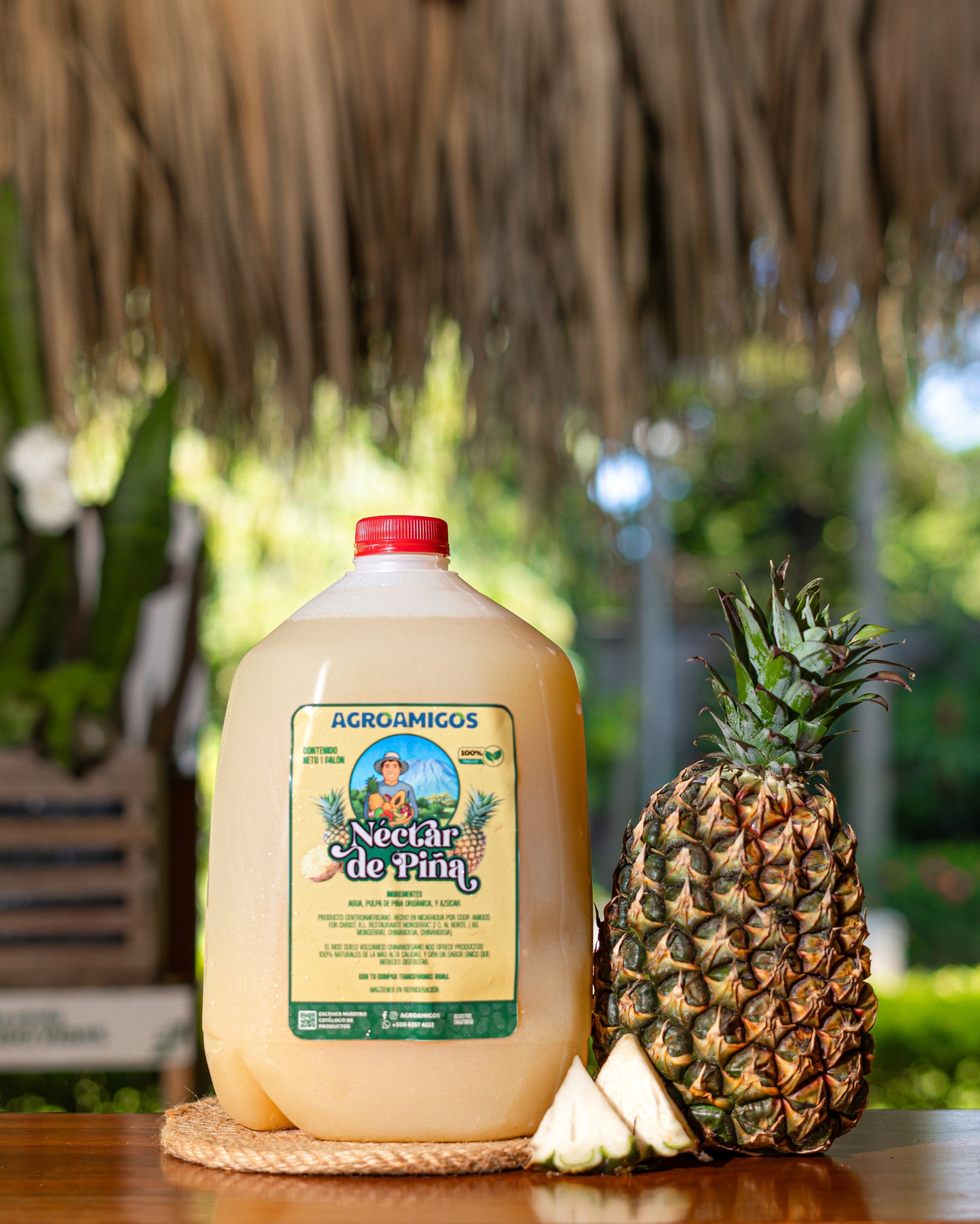 Nectar de Piña