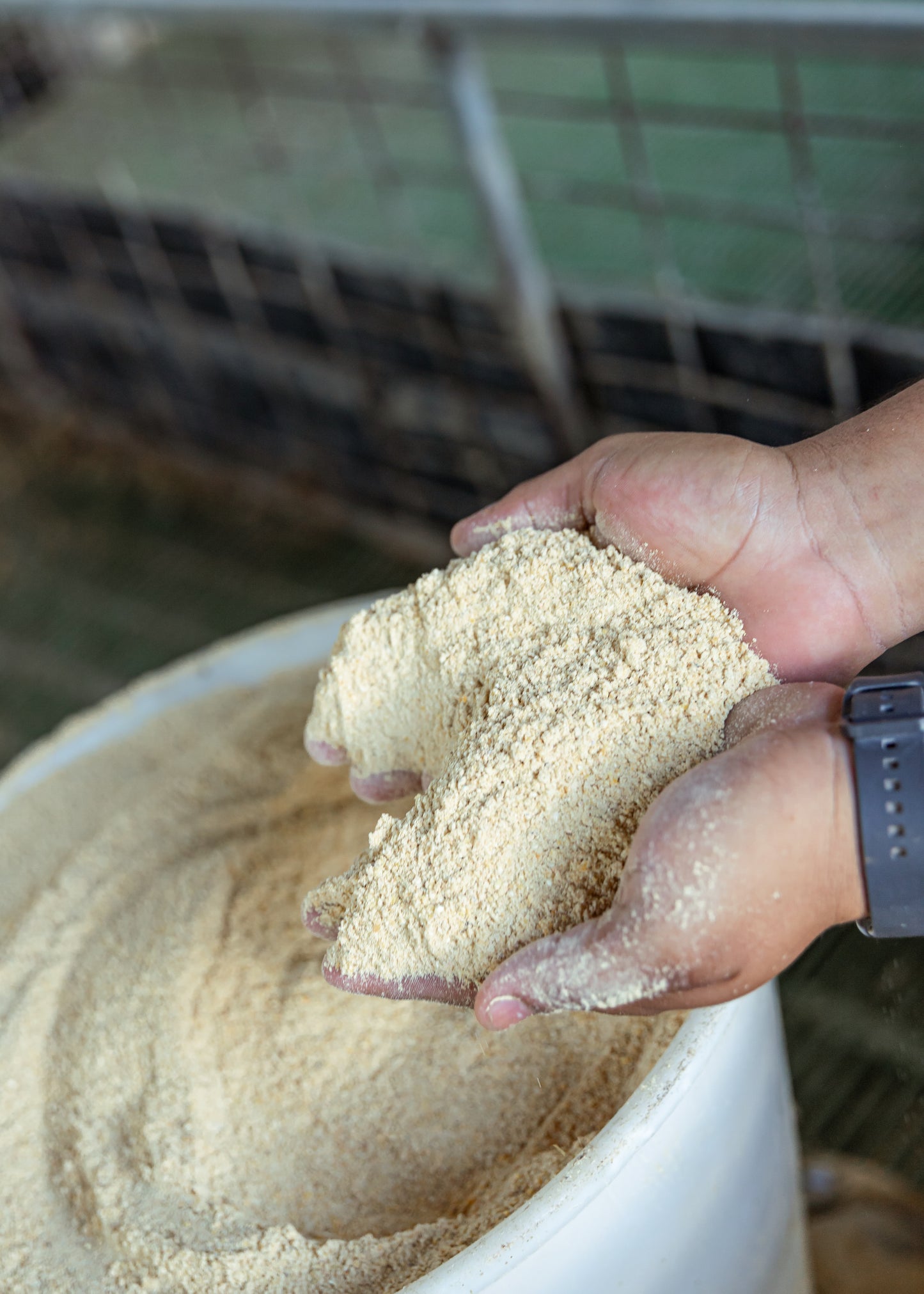 Alimentos balanceados