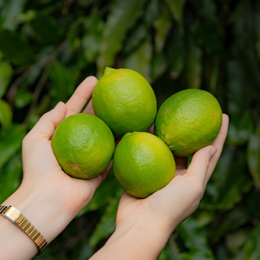Limon Indio