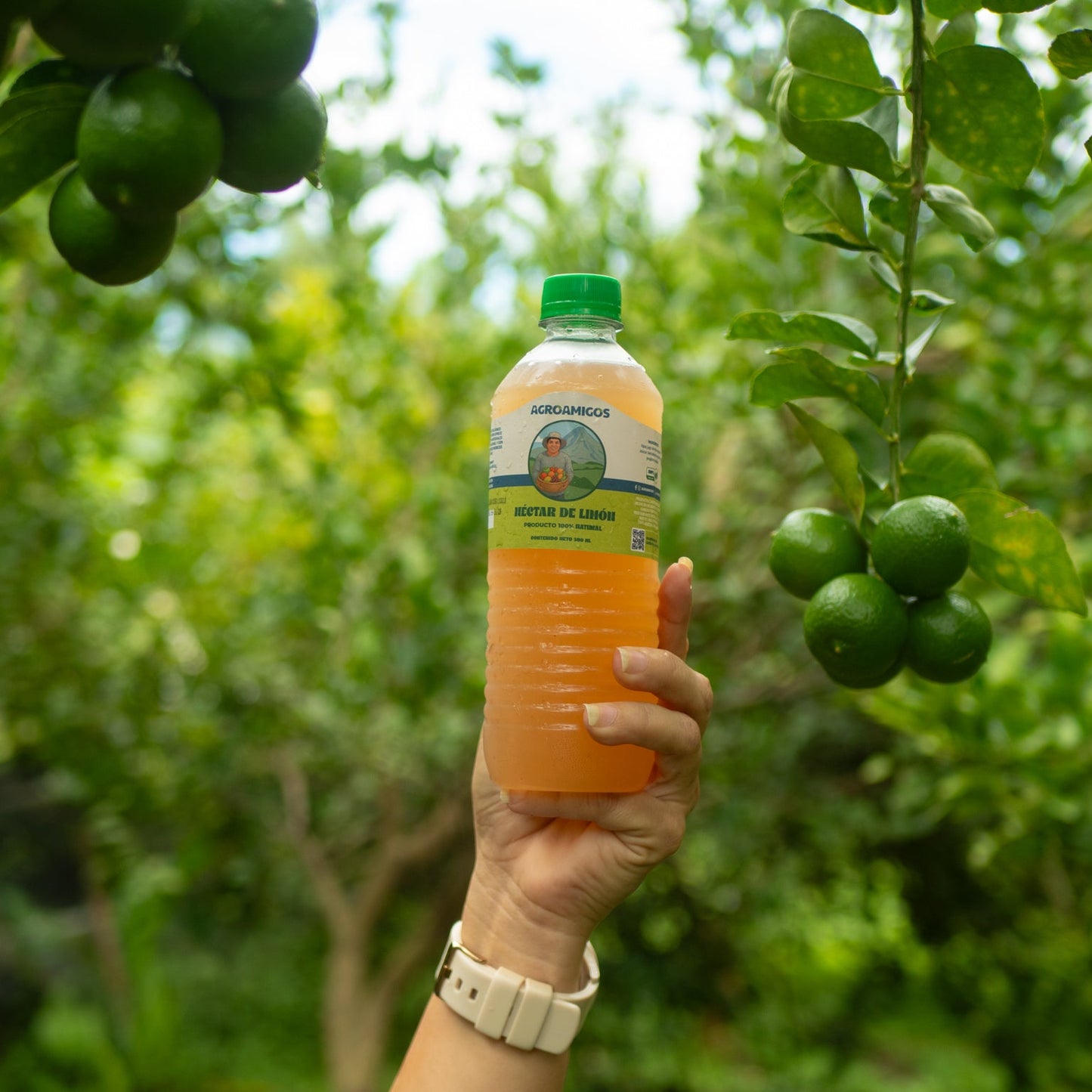 Nectar de Limon y hierbabuena 500ml
