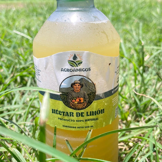 Nectar de Limon y hierbabuena 500ml
