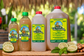 Nectar de Limon