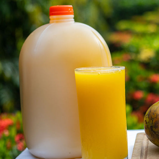 Concentrado de piña/ Galon