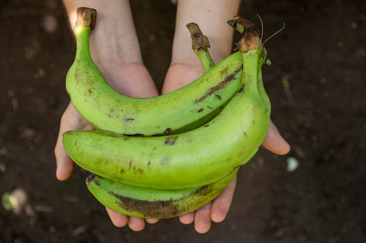 Banano verde
