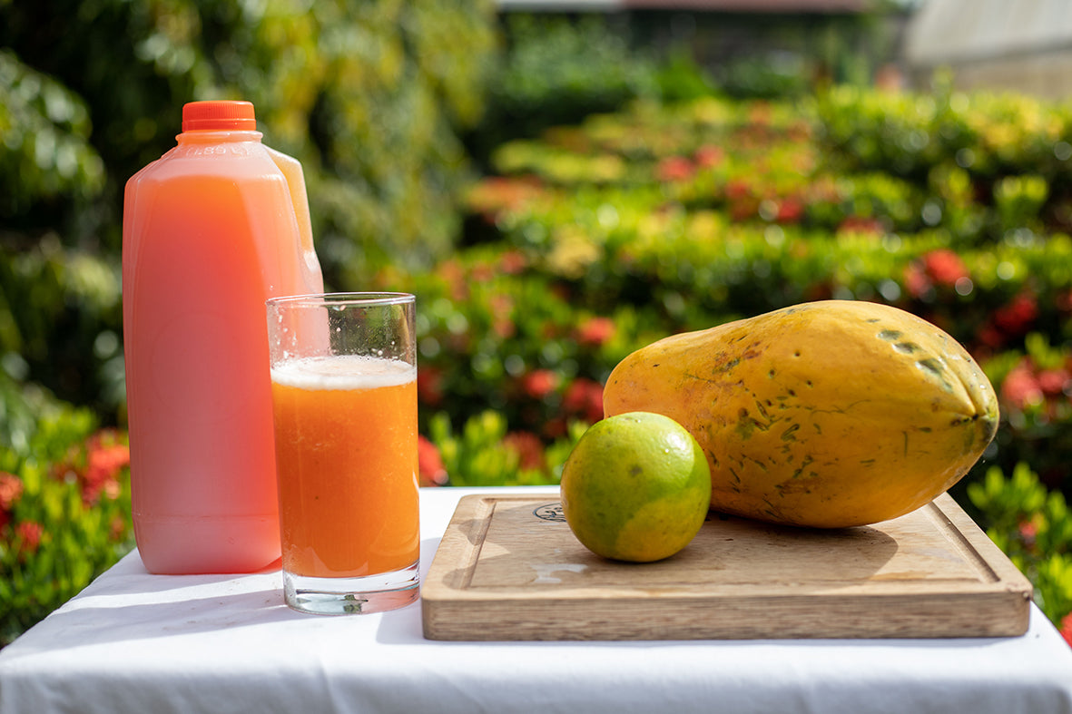 Nectar de Papaya con Naranja 1/2 Galón