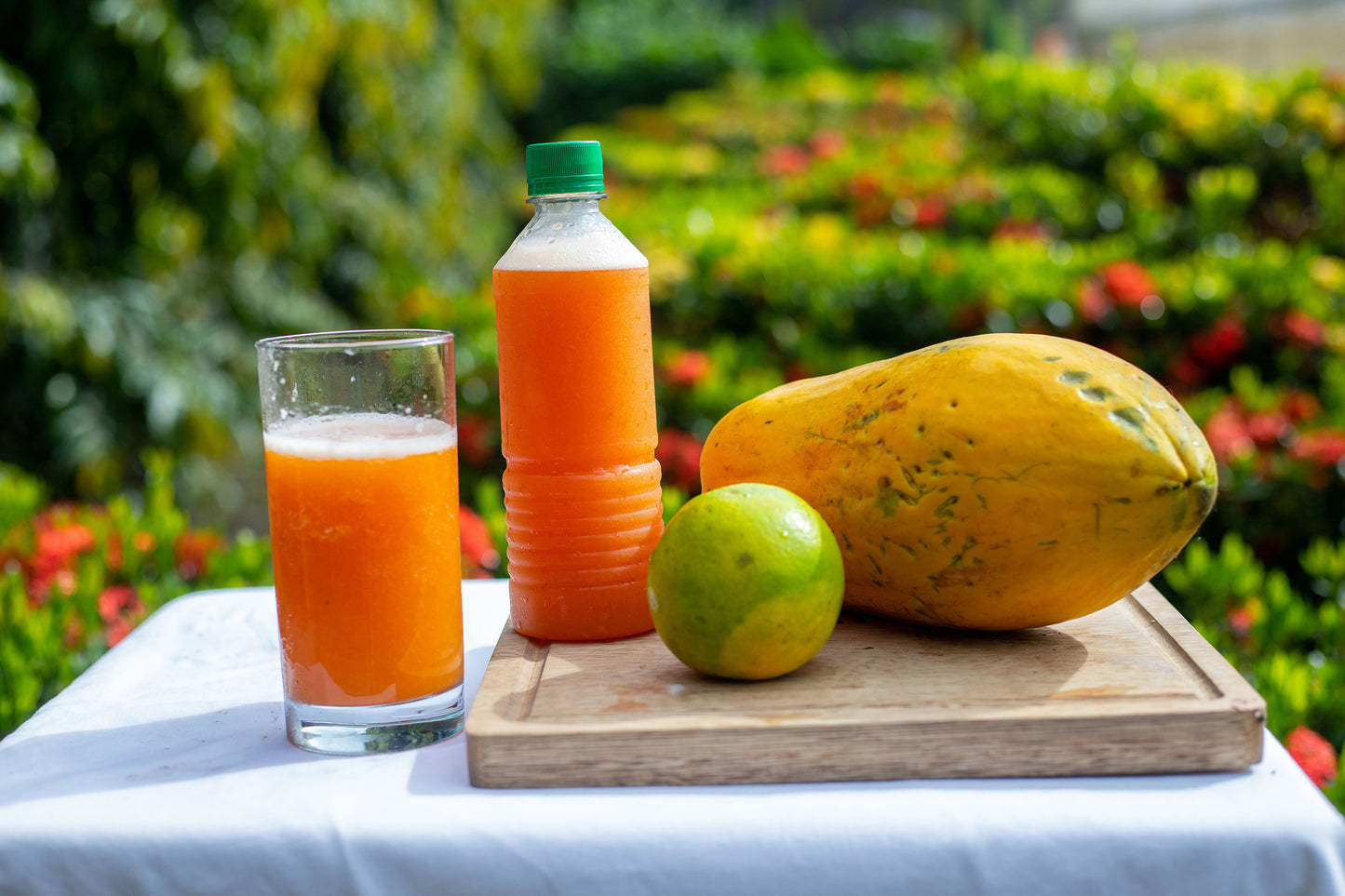 Nectar Papaya con Naranja/500ml