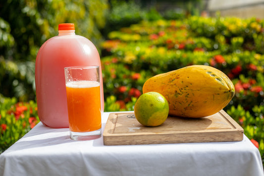 Nectar de Papaya con Naranja/GALON